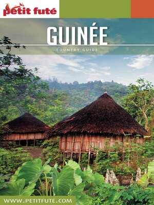 cover image of GUINÉE 2017 Petit Futé